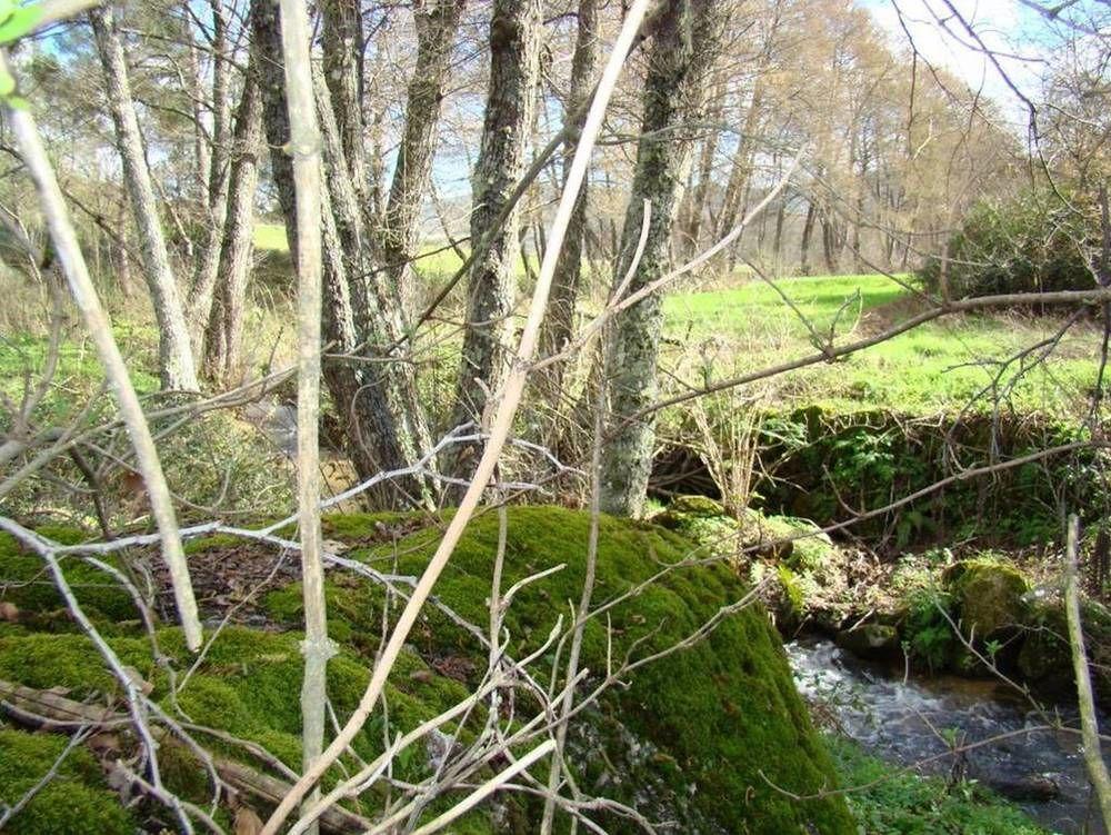 Quinta De Seves Vendégház Covilhã Kültér fotó