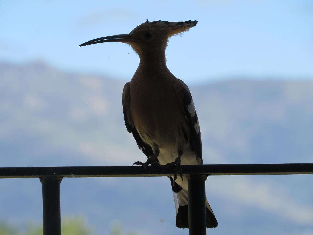 Quinta De Seves Vendégház Covilhã Kültér fotó
