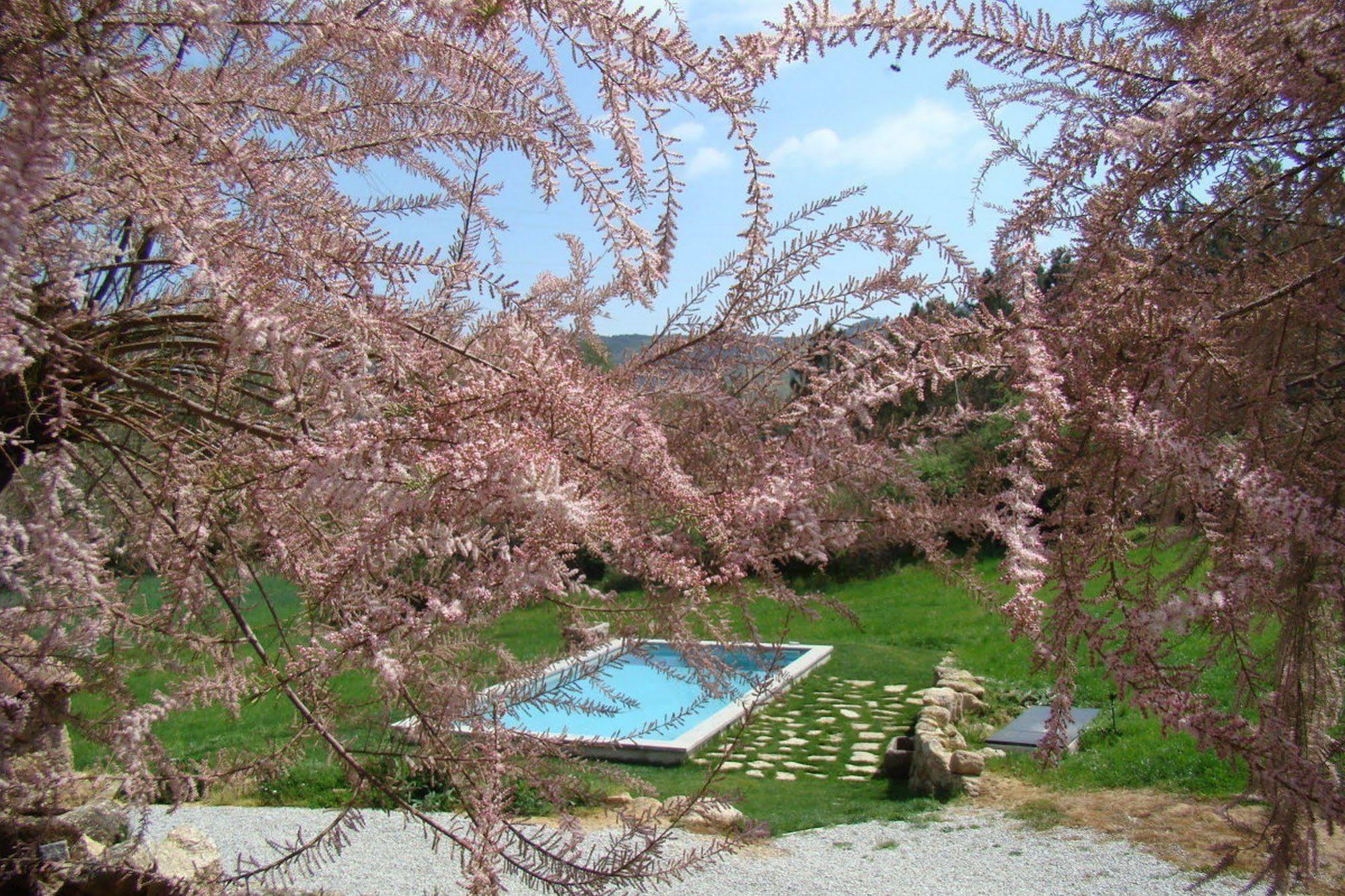 Quinta De Seves Vendégház Covilhã Kültér fotó